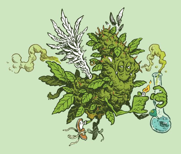 Reefer Rascals