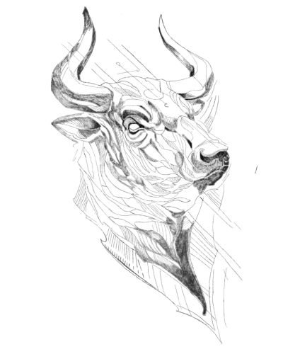 Bull Tattoo