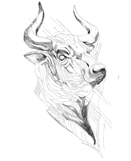 Bull Tattoo